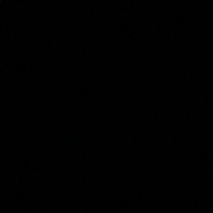 Meet your Posher, Lia